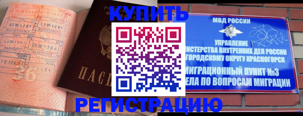 прописка 2025 в Истре